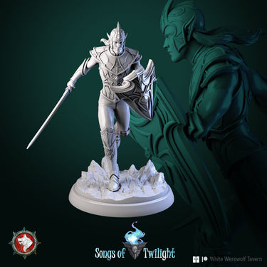 Drow Male Warrior Bundle